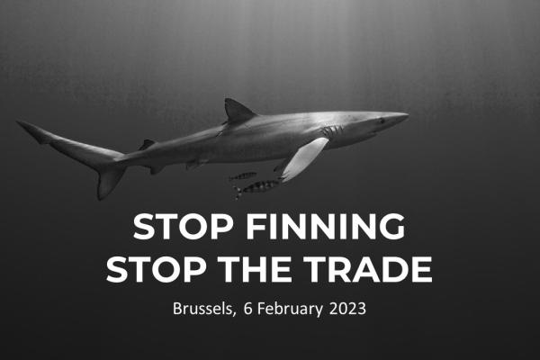Stop Finning - Stop the Trade
