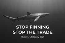 Stop Finning - Stop the Trade
